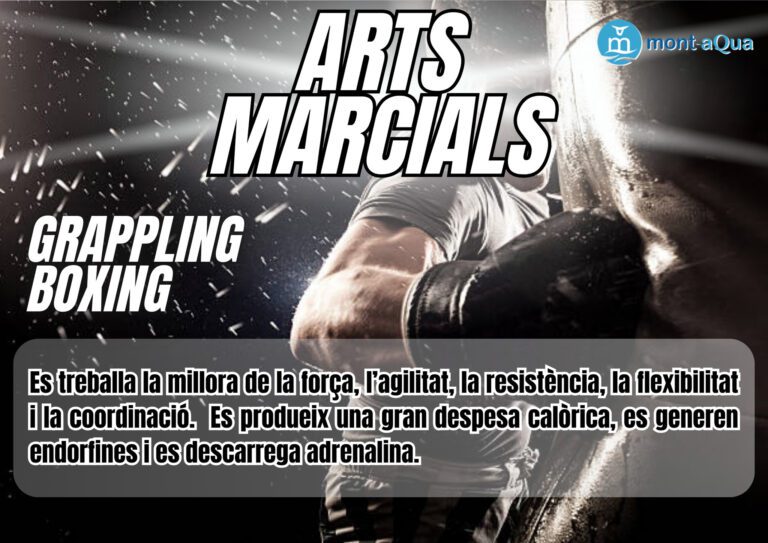 Arts Marcials